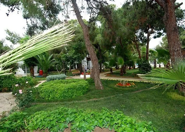 Maya Golf (adults Only)