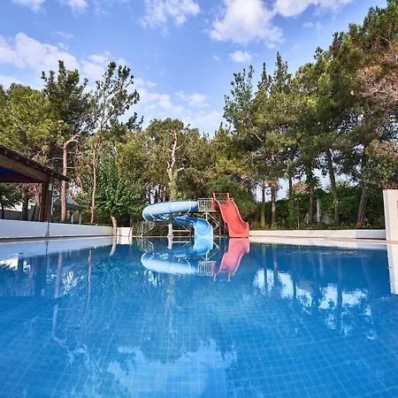 Maya Golf (adults Only)