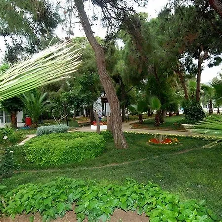 Maya Golf (adults Only)